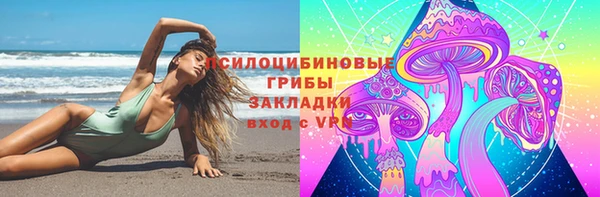трава Армянск