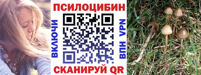 Псилоцибиновые грибы мухоморы  дарк нет официальный сайт  Сосногорск  цены наркотик 